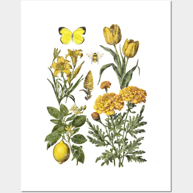 Yellow Botanicals Distressed Vintage Wall Art by Kelly Jenkins